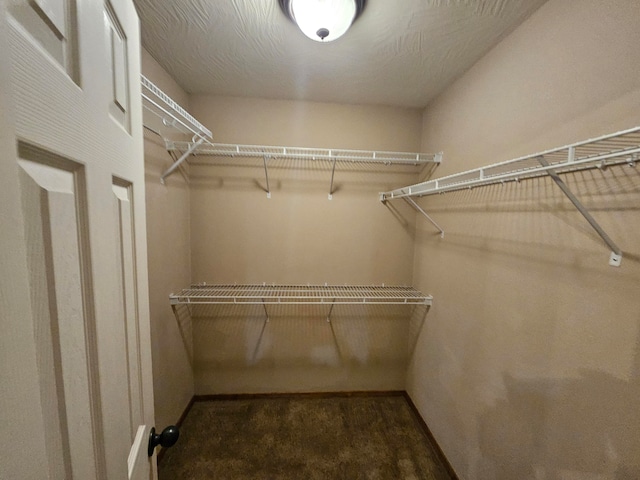 walk in closet featuring dark hardwood / wood-style flooring