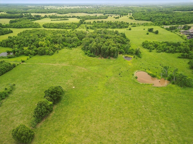 bird's eye view featuring a rural view