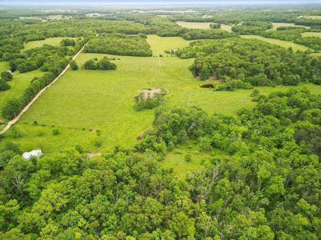 bird's eye view with a rural view