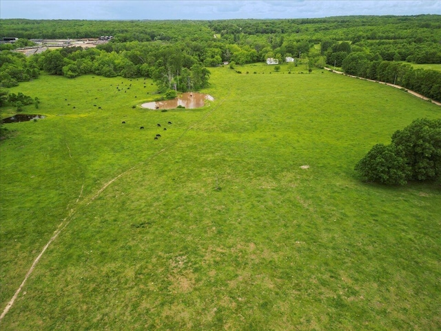 drone / aerial view featuring a rural view