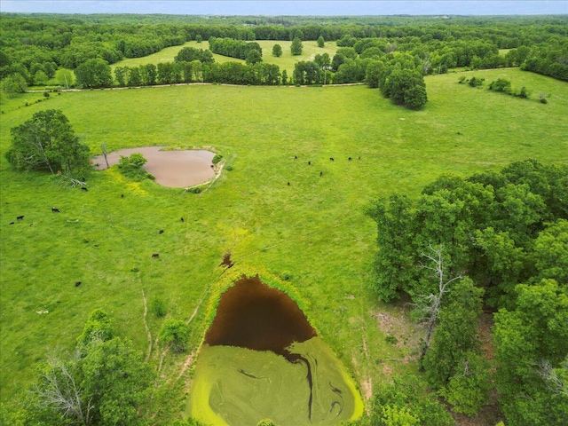 drone / aerial view with a rural view