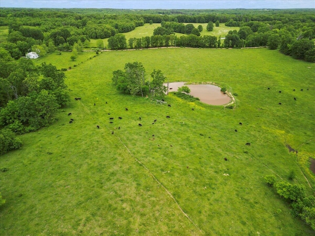 drone / aerial view featuring a rural view