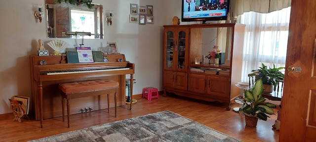 misc room with a wealth of natural light and light hardwood / wood-style floors