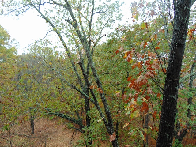 view of local wilderness