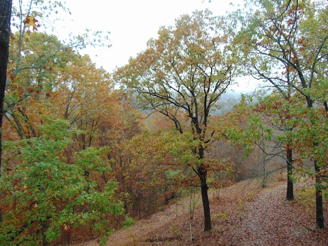 view of landscape