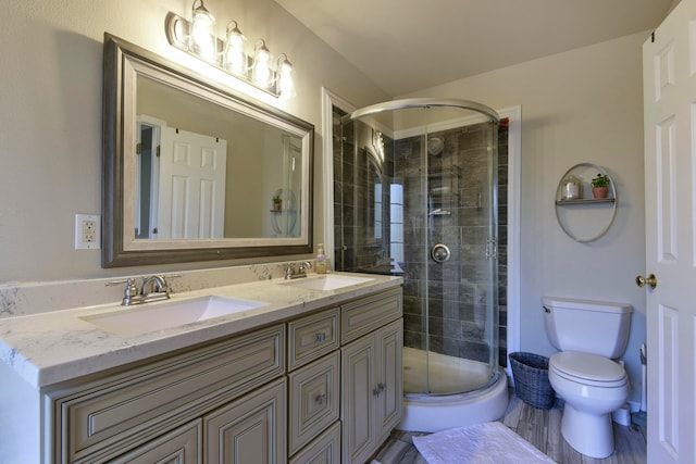 bathroom featuring a shower with shower door, vanity, toilet, and wood-type flooring