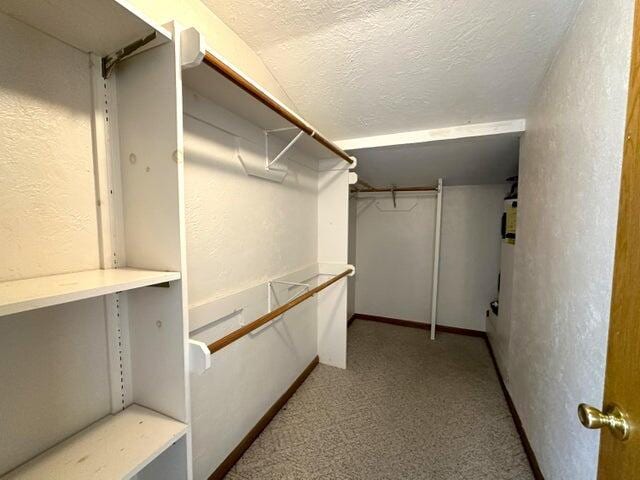 walk in closet featuring light colored carpet