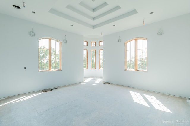 unfurnished room with a raised ceiling