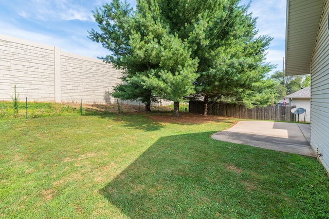 view of yard featuring a patio area