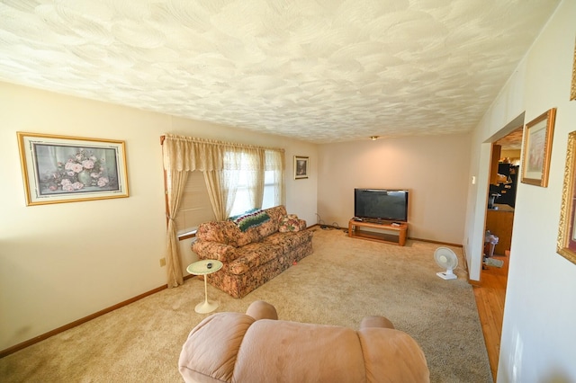 living room featuring carpet floors and a textured ceiling