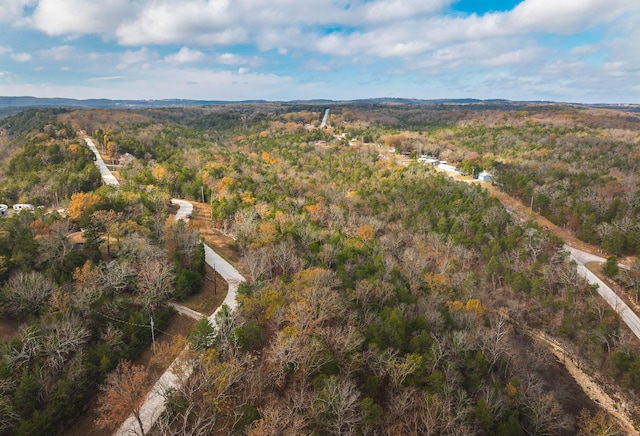 375 Parksley Ln, Kirbyville, MO 65679 - photo 6