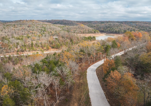 375 Parksley Ln, Kirbyville, MO 65679 - photo 15