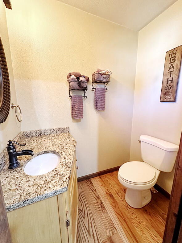 bathroom featuring toilet, vanity, and hardwood / wood-style flooring