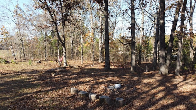 129 Oneill Dr, Noble, MO 65715 - photo 23