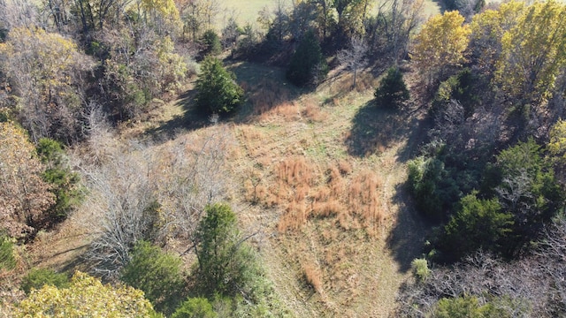 129 Oneill Dr, Noble, MO 65715 - photo 28