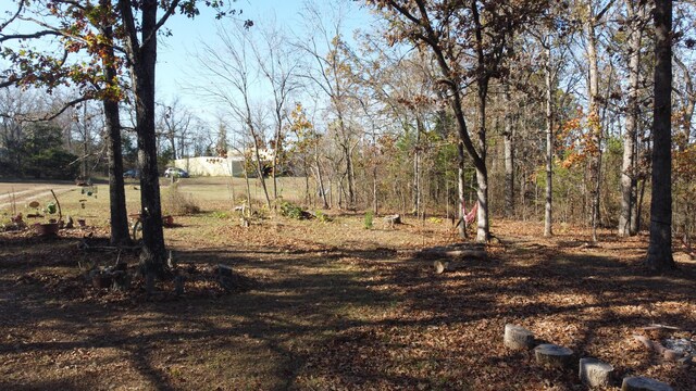 129 Oneill Dr, Noble, MO 65715 - photo 24