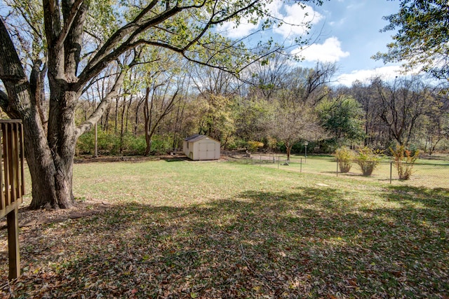 view of yard with a shed