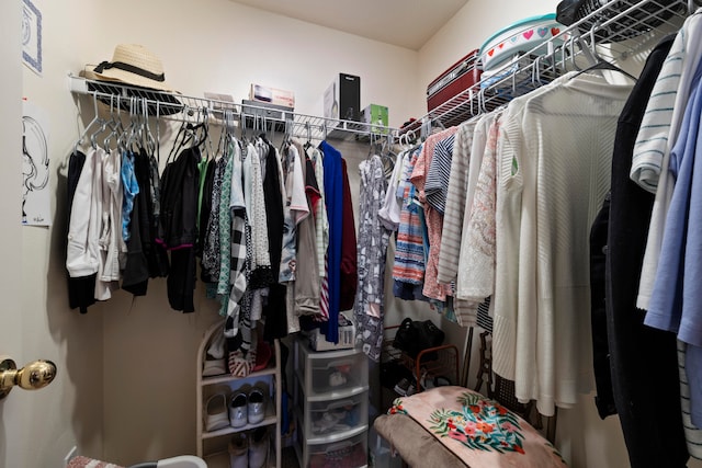 view of spacious closet