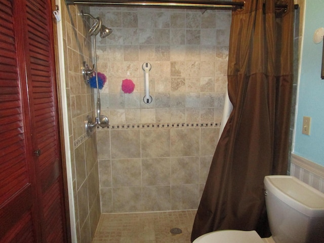 27038 Hickory Dr, Eagle Rock, MO 65641 - bathroom with a tile shower, toilet, and a closet