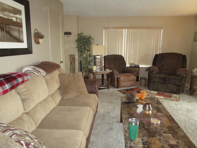 27038 Hickory Dr, Eagle Rock, MO 65641 - view of carpeted living area