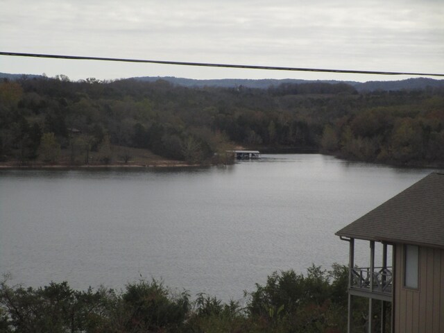 27038 Hickory Dr, Eagle Rock, MO 65641 - water view with a forest