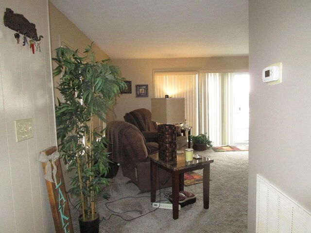 27038 Hickory Dr, Eagle Rock, MO 65641 - view of carpeted living area