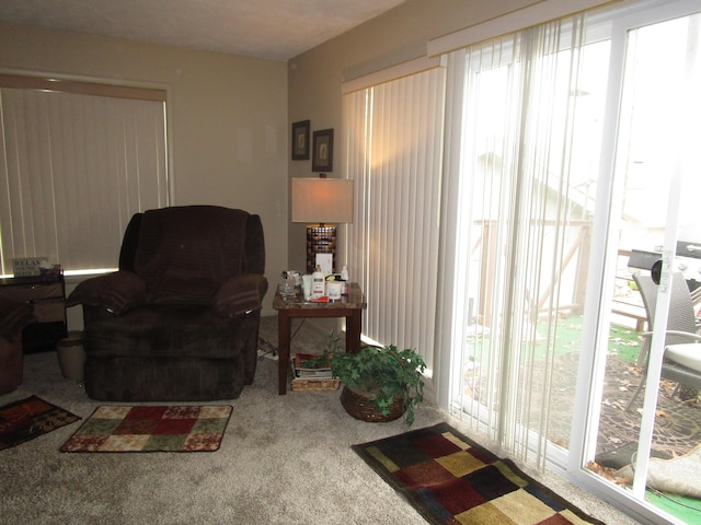 27038 Hickory Dr, Eagle Rock, MO 65641 - living area featuring plenty of natural light and carpet