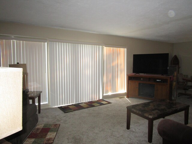 27038 Hickory Dr, Eagle Rock, MO 65641 - view of carpeted living room