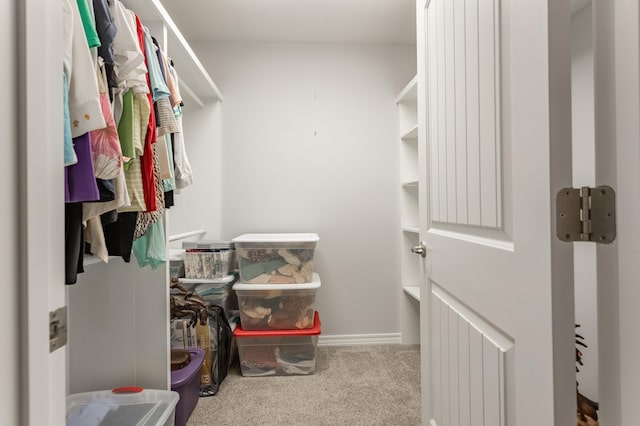 spacious closet featuring light carpet