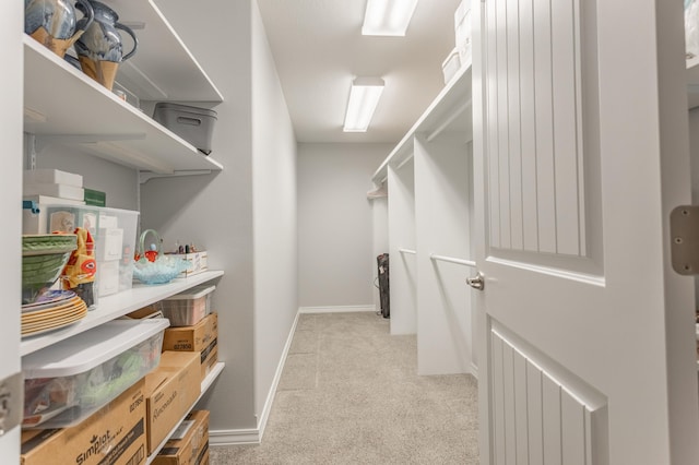 walk in closet with light carpet