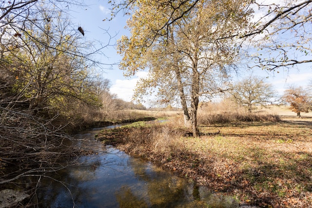 view of local wilderness