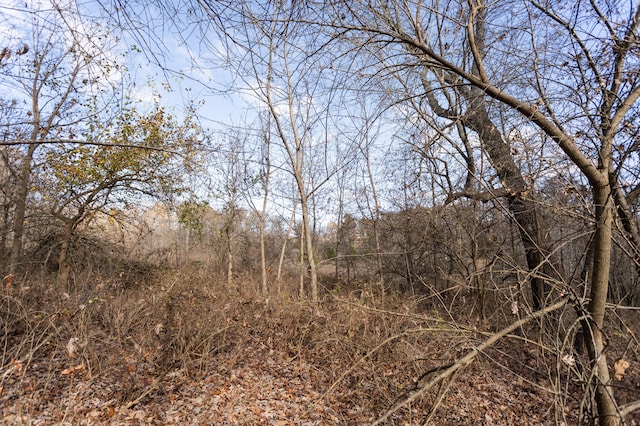 view of local wilderness