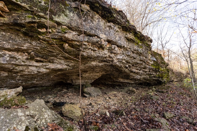 view of local wilderness