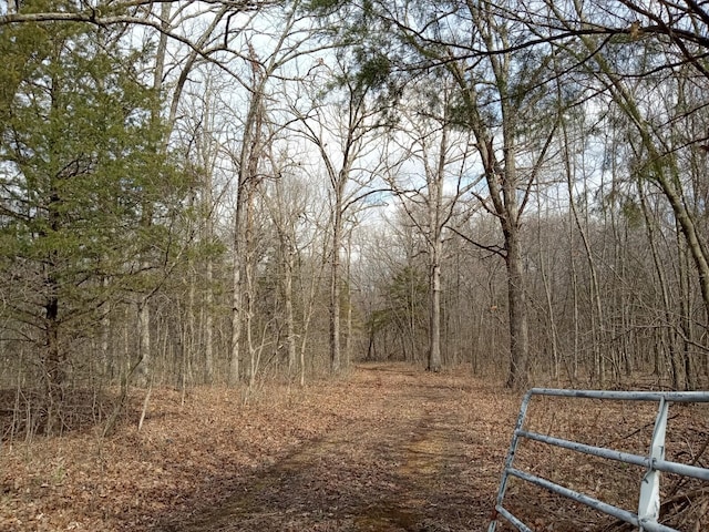 Listing photo 3 for 000 Spring Grove Rd, Elkland MO 65644