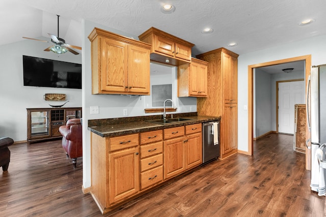 kitchen featuring appliances with stainless steel finishes, a textured ceiling, dark hardwood / wood-style floors, sink, and ceiling fan