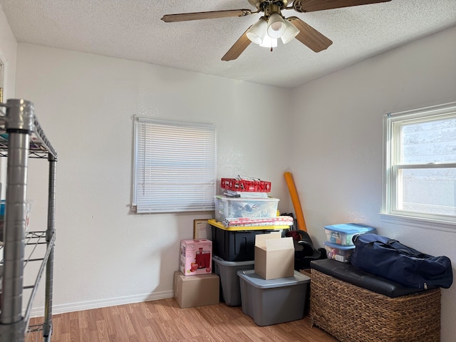 storage featuring ceiling fan