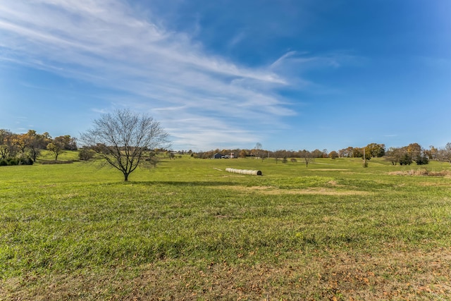 view of yard featuring a rural view