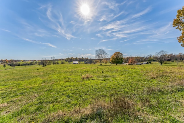 view of yard featuring a rural view