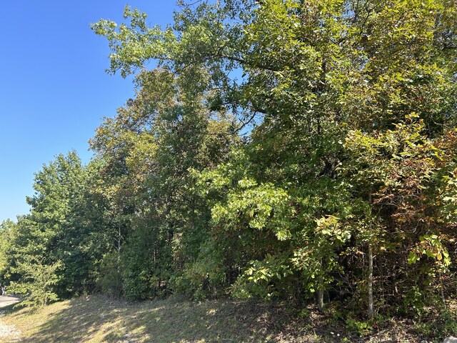 1410 Stoneycreek Cir, Branson West, MO 65737