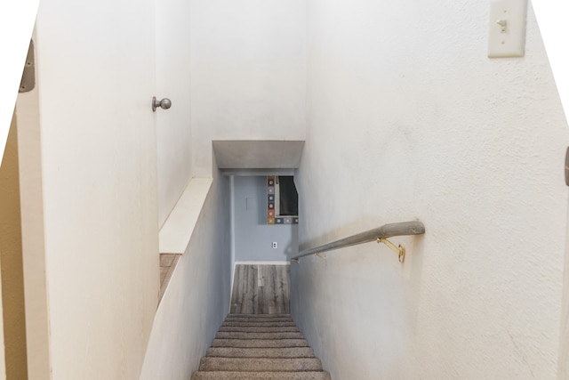 staircase featuring hardwood / wood-style floors