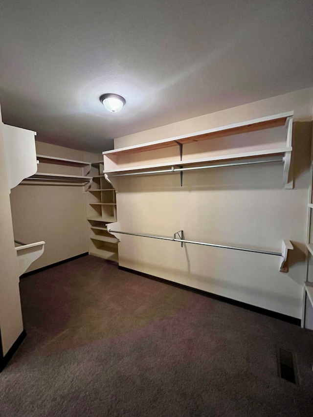 walk in closet with dark colored carpet