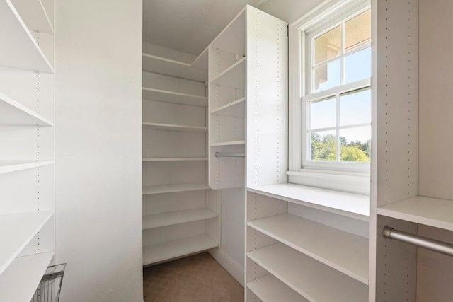 spacious closet featuring carpet floors