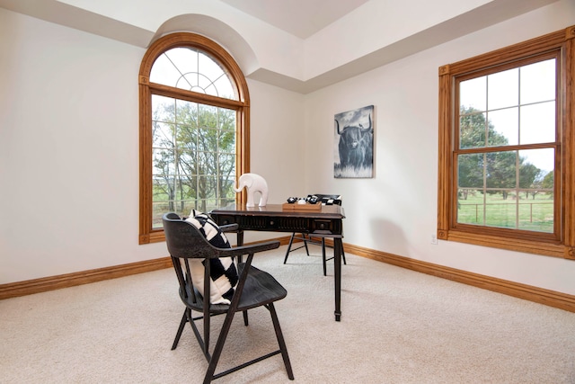 home office with light carpet