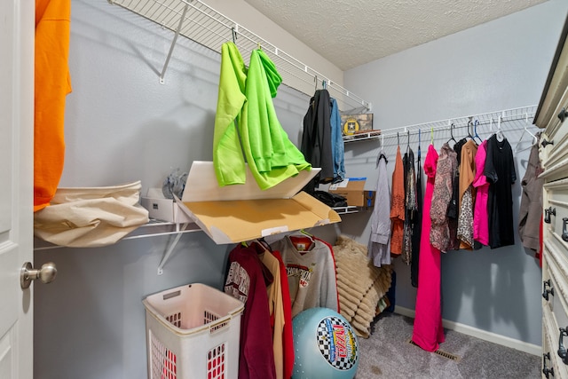 walk in closet with carpet floors