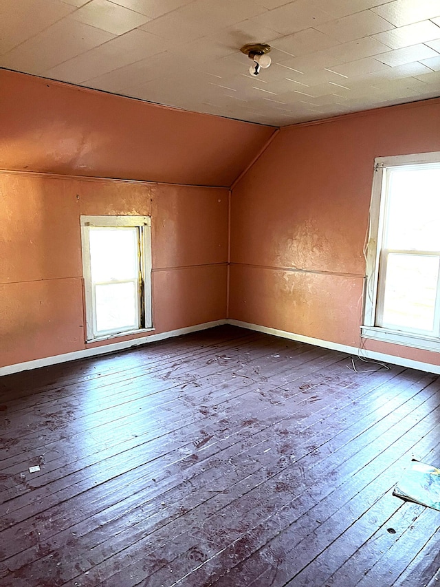 additional living space featuring lofted ceiling and hardwood / wood-style flooring