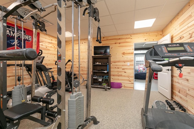 1558 E 432nd Rd, Bolivar, MO 65613 - workout room with wooden walls and carpet