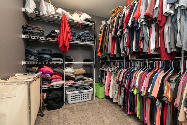 walk in closet with carpet flooring