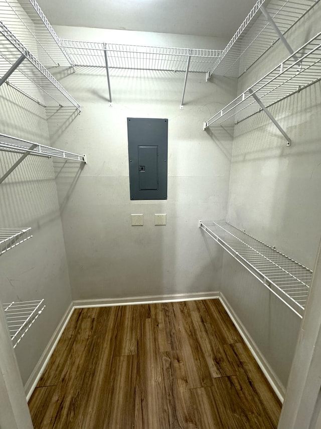 walk in closet featuring electric panel and hardwood / wood-style flooring