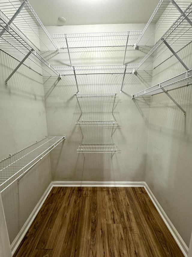 walk in closet featuring hardwood / wood-style floors