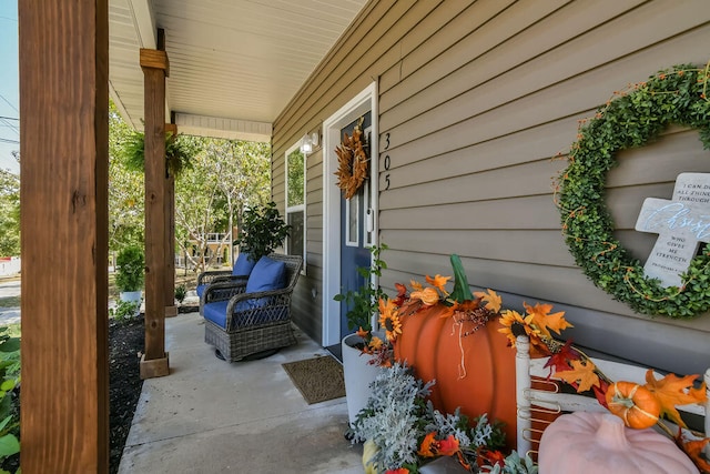 view of patio with covered porch